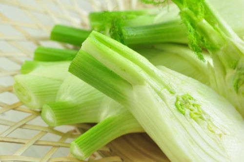 Fennel Pizza pre-cut per kg